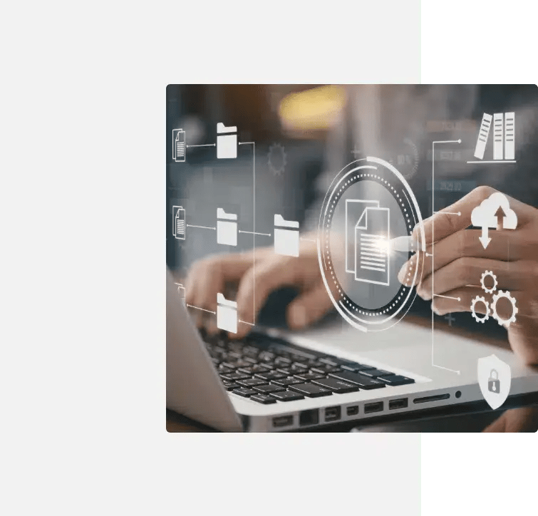 Data-Management