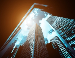 Wealth Management Firms