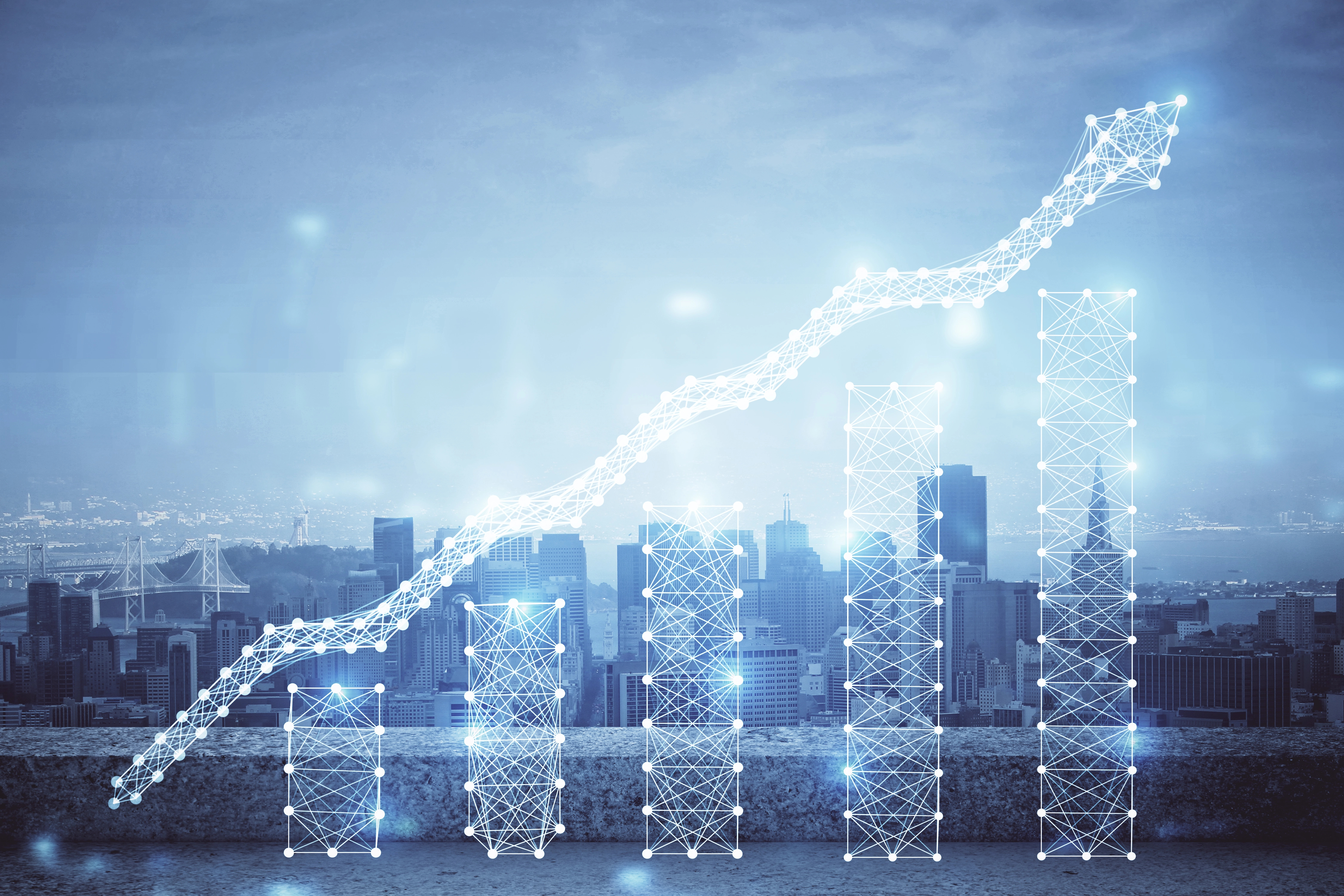 The Role of IT Support Programs in Accelerating Business Growth